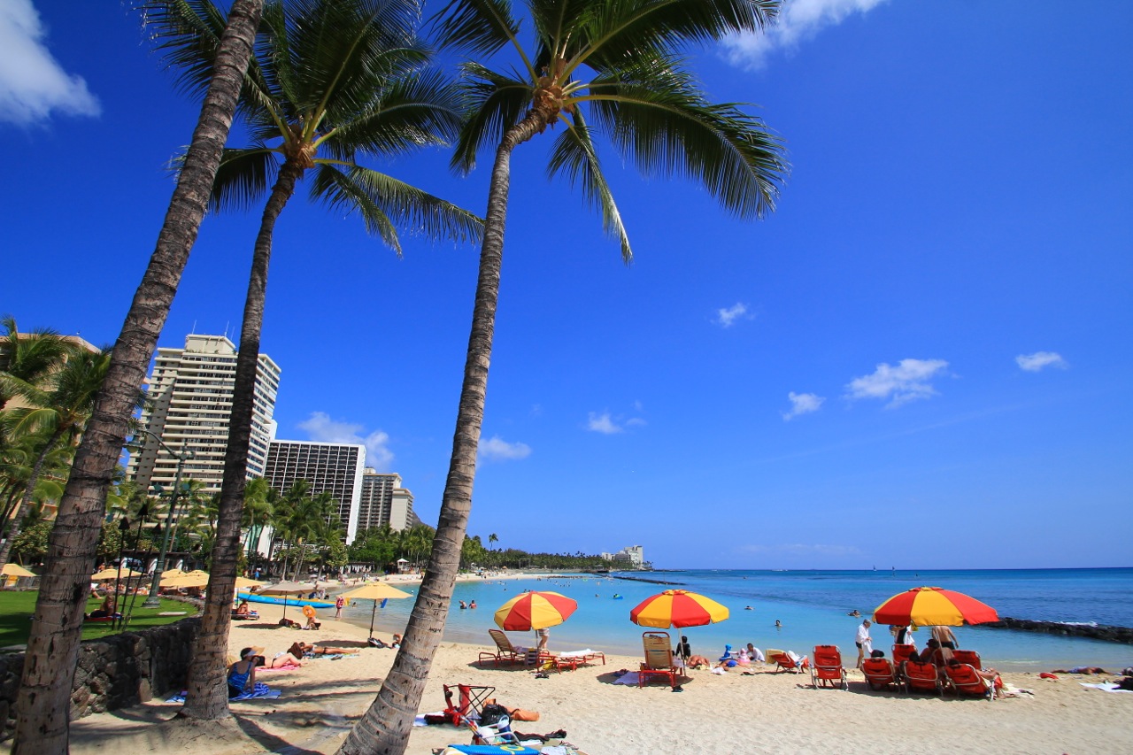 【Vol.2】My First Hawaii_f0077051_1154049.jpg