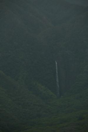 b0126453_23195.jpg