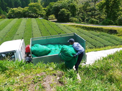 菊池水源茶 スピード勝負!さながらF1!?_a0254656_17384925.jpg