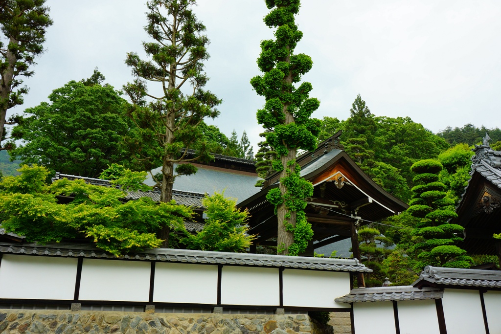 temple2(長野県松本市「徳運寺」2）_e0223456_6371566.jpg