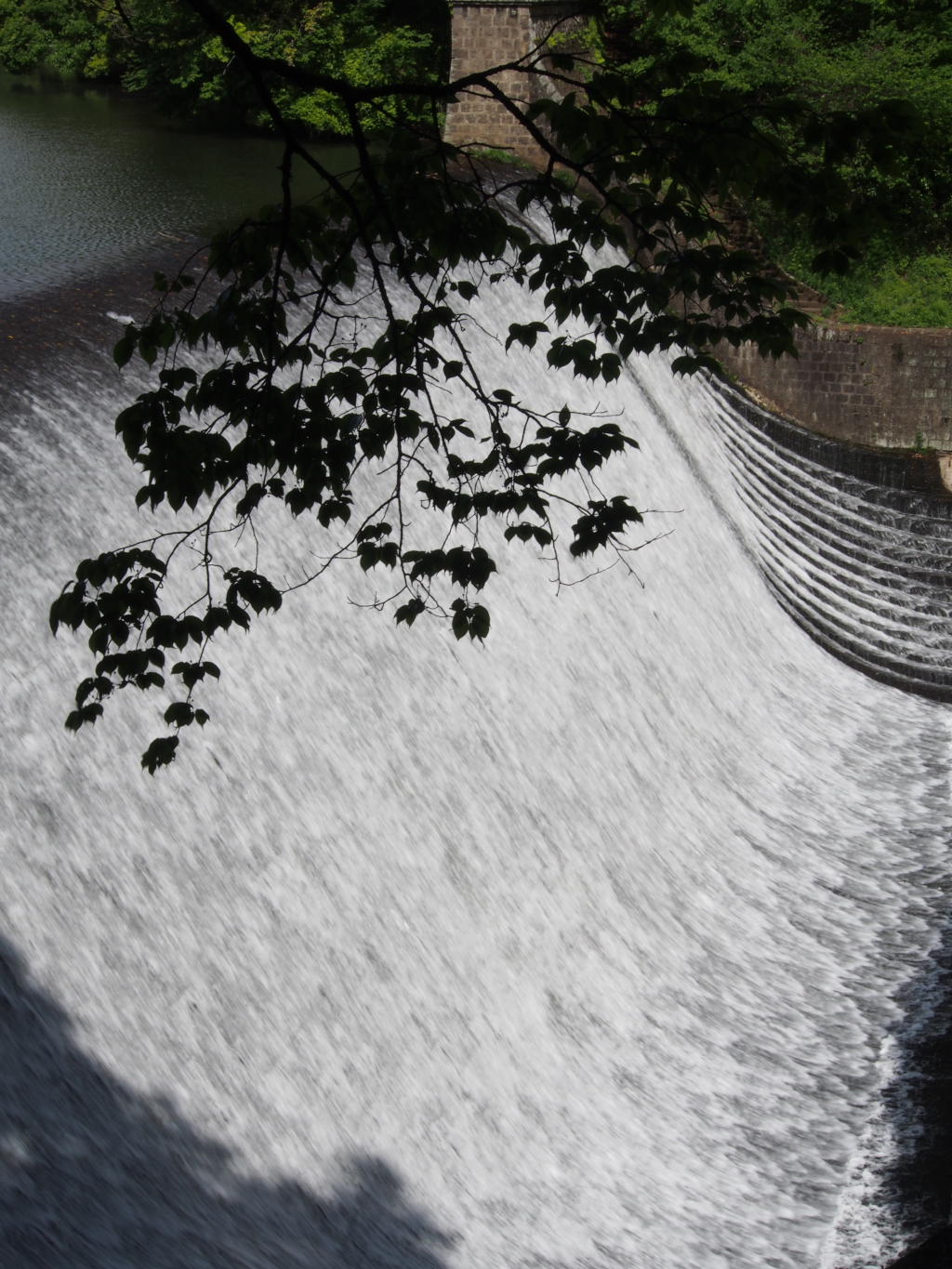 d0032258_5125355.jpg