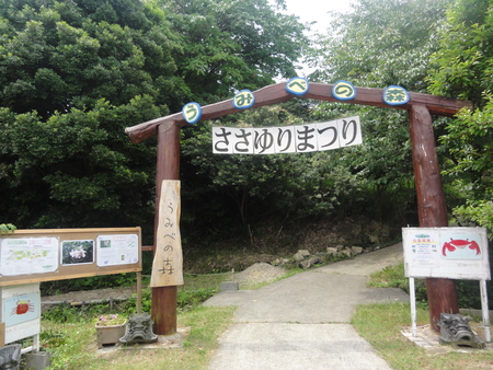 うみべの森を育てる会「ささゆりまつり第７日目」　in　うみべの森_c0108460_2216922.jpg