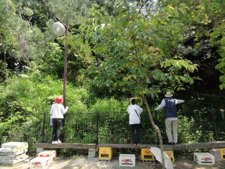 c0108460_22181682.jpg