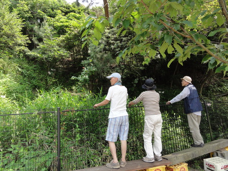 c0108460_2219525.jpg
