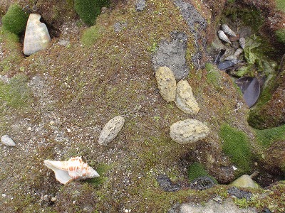 c0180460_16214869.jpg