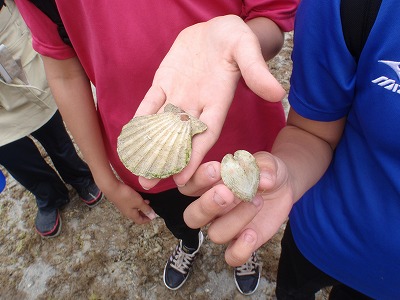 c0180460_16274626.jpg