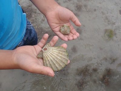 c0180460_16282272.jpg
