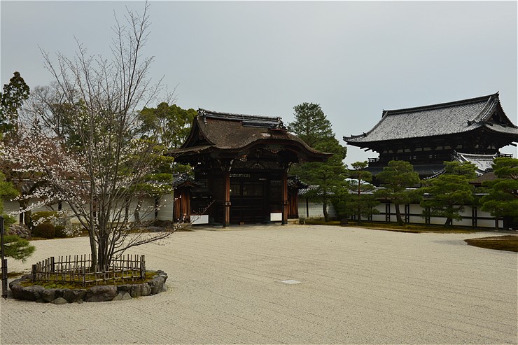 仁和寺 ~桜とミツバツツジ~_f0222161_13435831.jpg