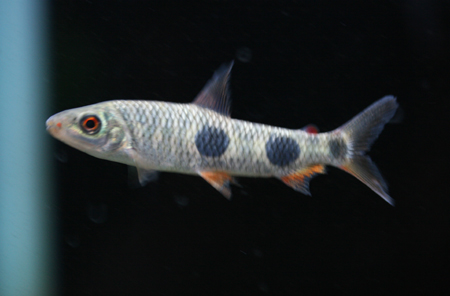 a0162263_21433234.jpg