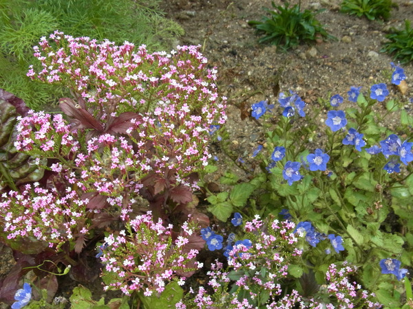 b0194267_2035378.jpg