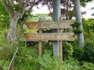 e0160568_1544186.jpg