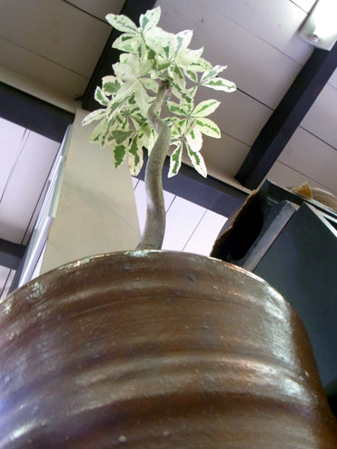 img58676641.jpg