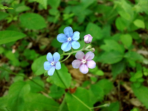 軽井沢・石の教会を訪れる_c0092877_23521433.jpg