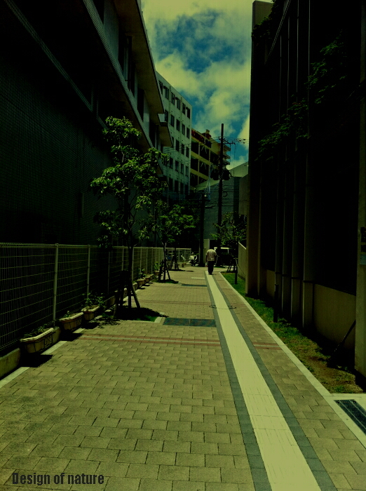 a0204681_10391735.jpg