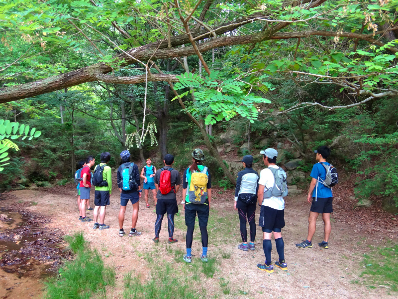 2012/06/03 Trail Session For Beginner_b0220886_1033665.jpg