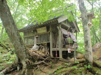 森に囲まれた隠津島神社_a0096989_1902432.jpg