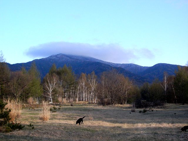 a0093592_174537.jpg