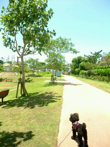 a0118493_1084290.jpg