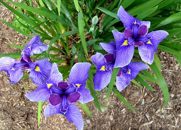 c0119197_14175291.jpg