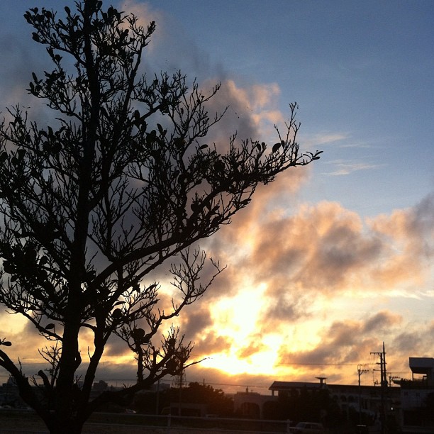 Island Sky_a0119098_19361448.jpg