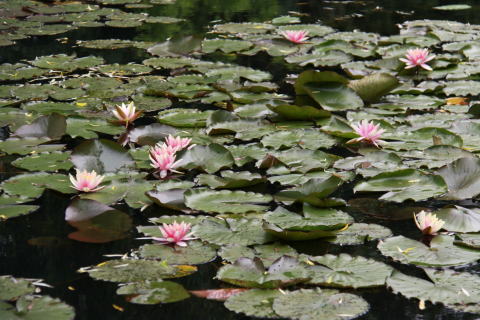 c0090198_3124744.jpg