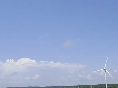 a0132800_16226100.jpg