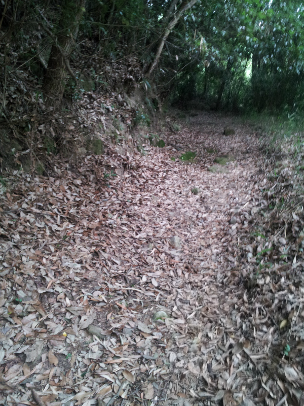 e0183004_15324487.jpg