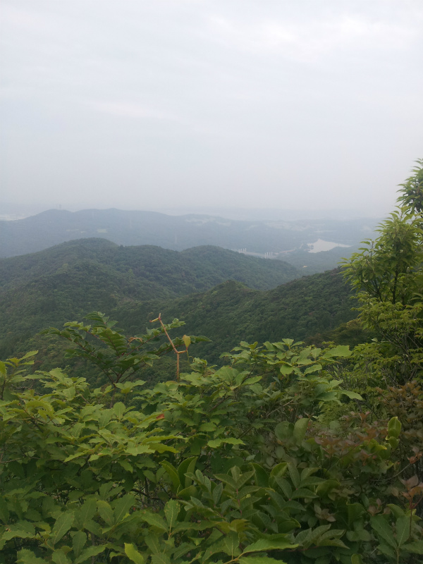 e0183004_15375365.jpg