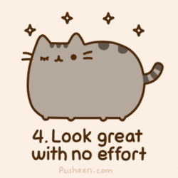 とってもカワイイ猫キャラのgifアニメ ブログ Pusheen The Cat ニューヨークの遊び方 とってもカワイイ猫キャラのgifアニメ ブログ Pusheen The Cat ニューヨークの遊び方