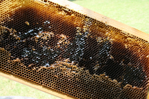 a0139007_19433222.jpg