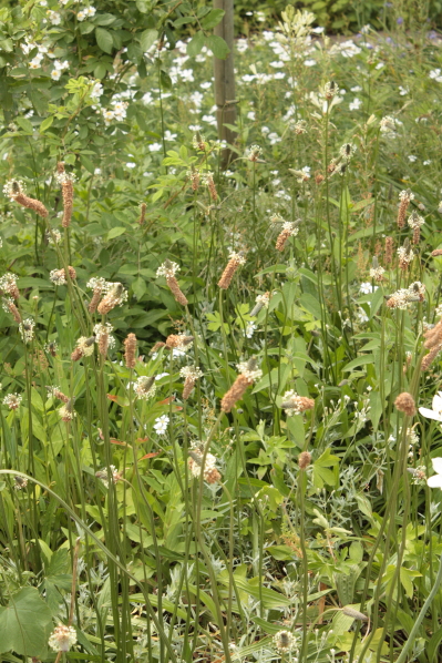 d0001008_9361859.jpg