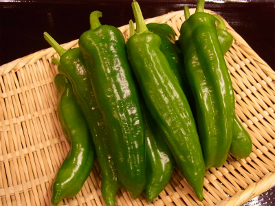 f0157910_1437422.jpg
