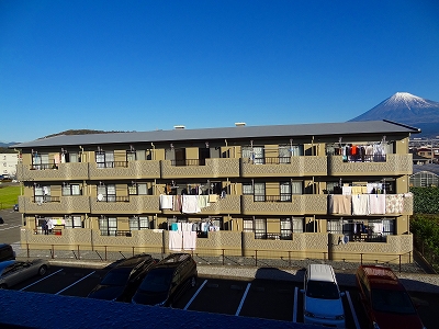 あれ~?? 不思議・・・・・そしてペット可マンションデビュー_e0238112_8273369.jpg