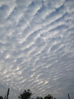 c0239414_17294136.jpg