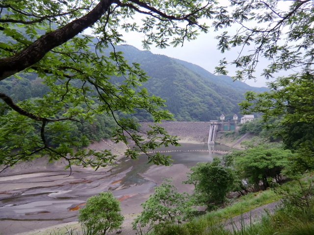 高島トレイル　第二弾　武奈ｹ嶽から三重嶽縦走　　ＰＡＲＴ　３_d0170615_8281262.jpg