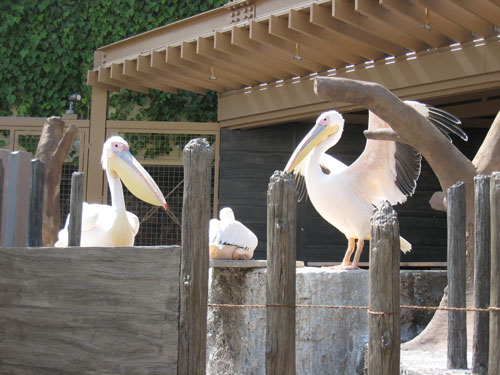 サンシャイン水族館_e0195115_16304427.jpg