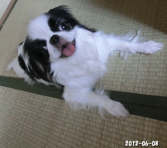 c0200916_23253910.jpg