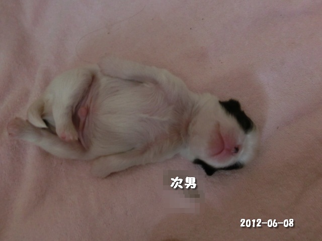 c0200916_23304841.jpg