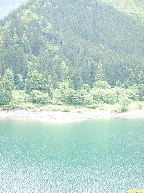 e0256122_1719453.jpg