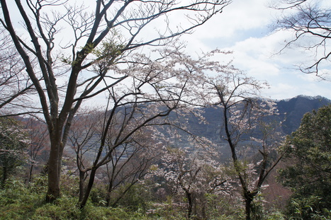 五日市　金剛の滝・今熊山_d0156625_913526.jpg