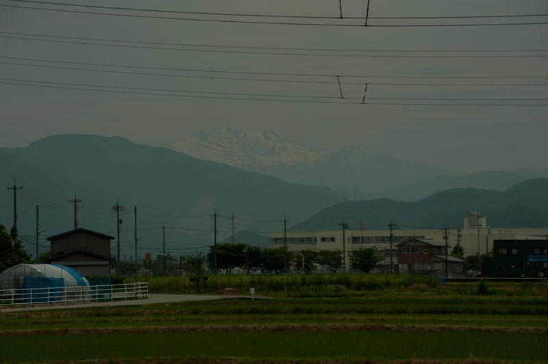 b0177233_501216.jpg