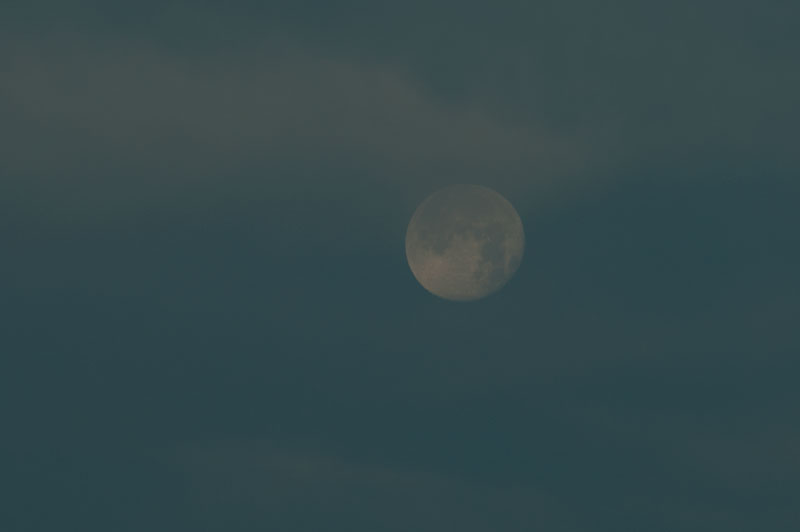 b0177233_514721.jpg