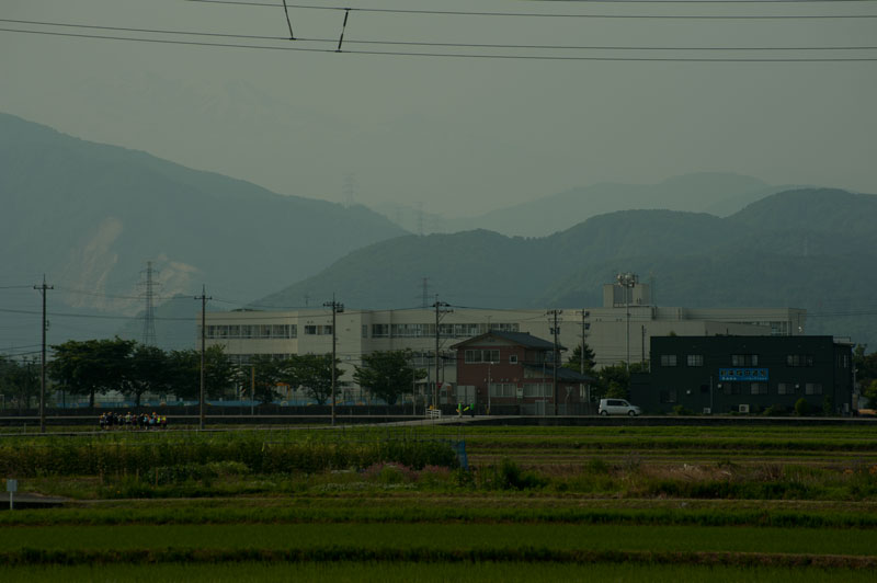 b0177233_581629.jpg