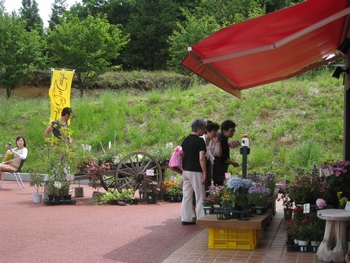 c0134734_1323951.jpg