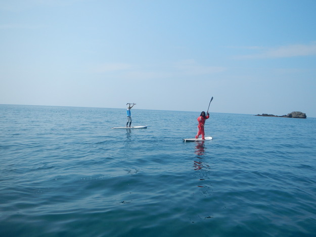 f0182238_55947.jpg