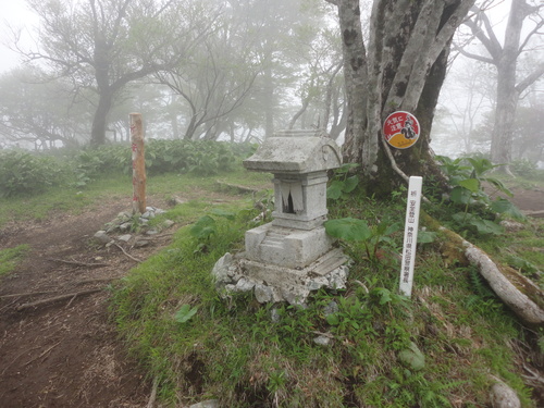 a0048040_20404996.jpg