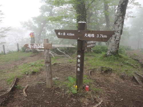a0048040_2041429.jpg
