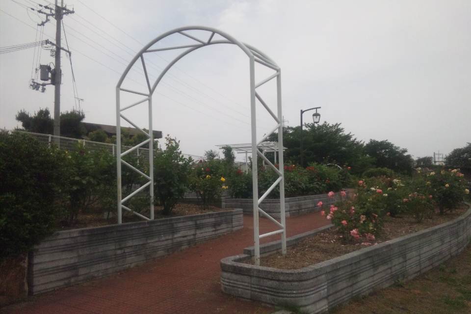 f0154041_2227204.jpg