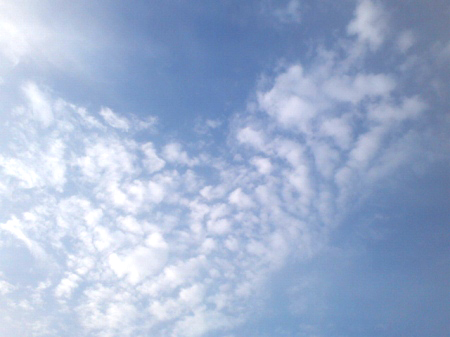 2012.05.31_d0090744_23304847.jpg