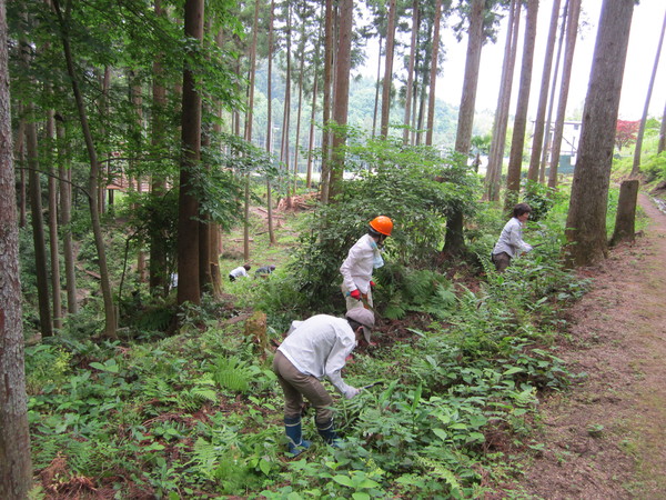 里山整備に　大谷の学生さん初参加。_b0132746_20394850.jpg